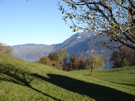 DSC00089