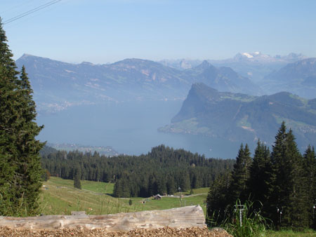 DSC00646